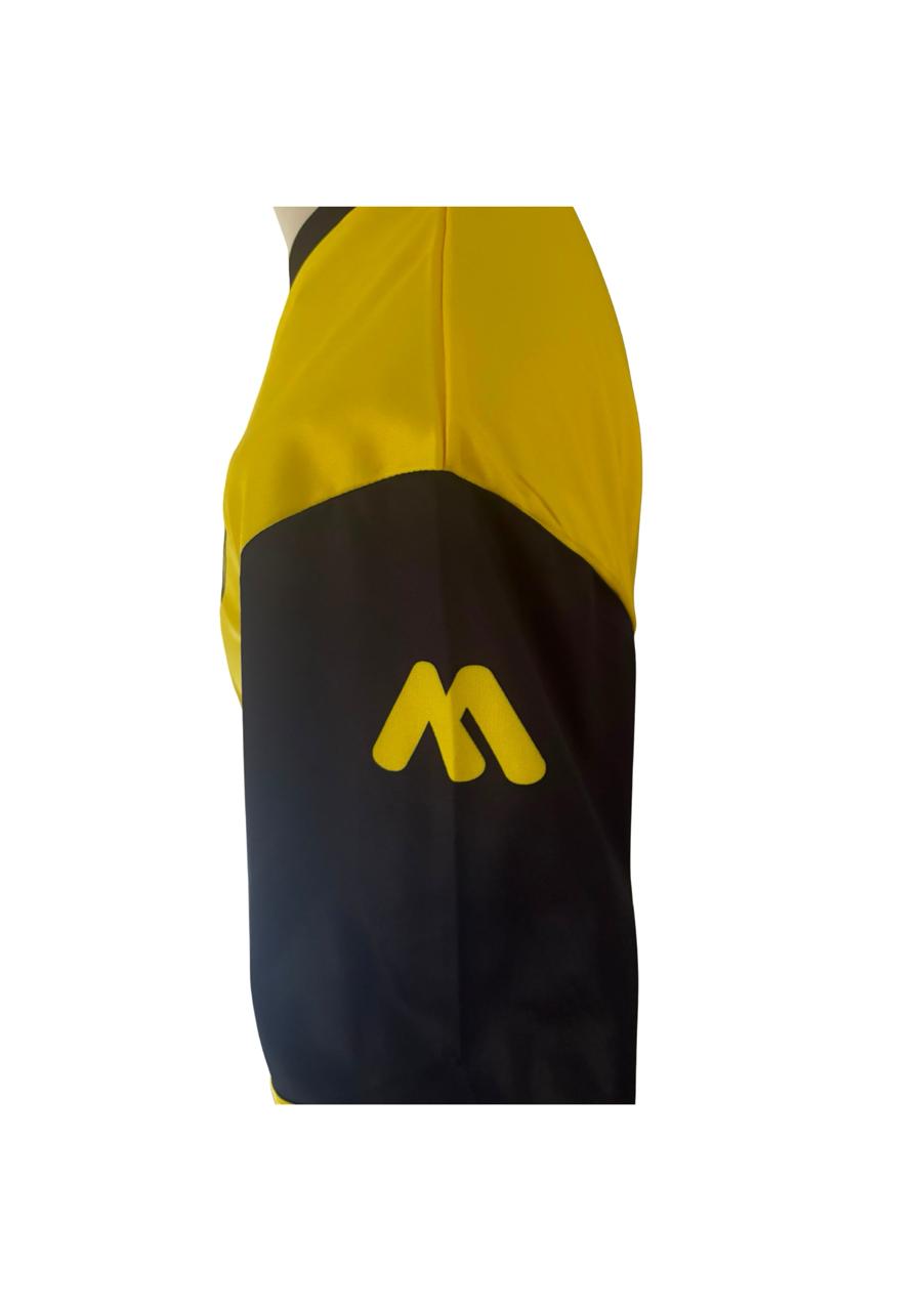 Alemannia Aachen Thuisshirt 2018-2019 BNWT (M) (10/10)