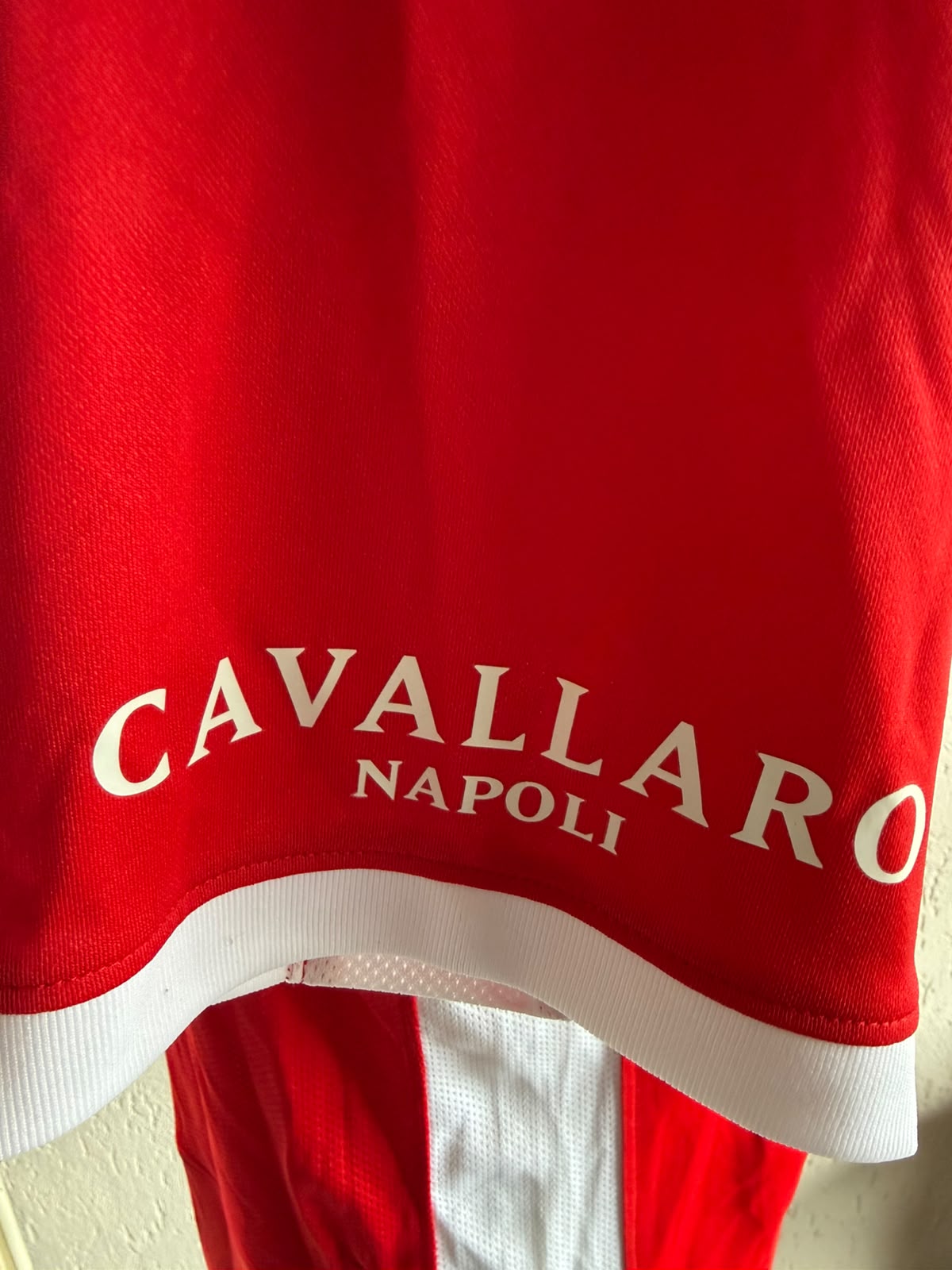 AZ Thuisshirt 2024-2025 (L) (8/10)