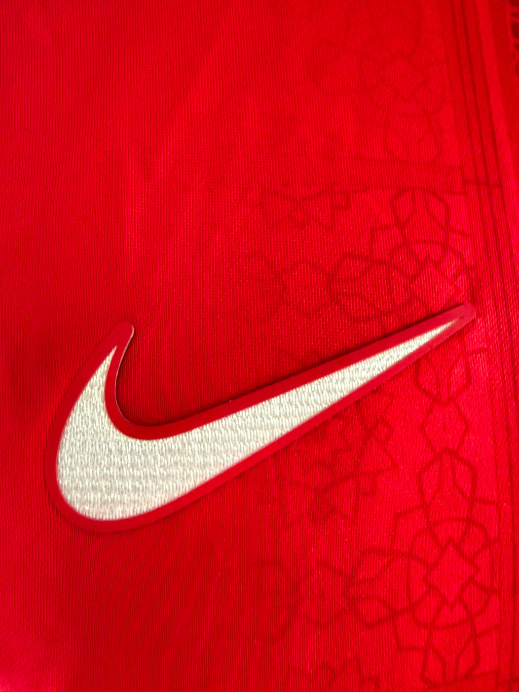 AZ Thuisshirt 2024-2025 (L) (8/10)