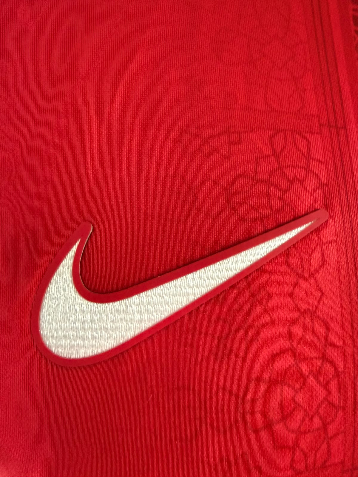 AZ Thuisshirt 2024-2025 (L) (8/10)