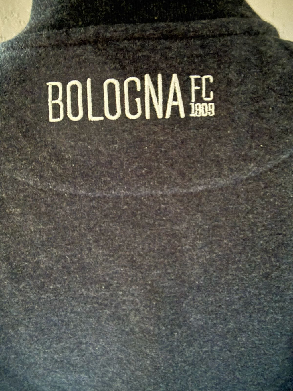 Bologna FC Travel Poly Fleece Jacket 2020-2021 (XL) (10/10)