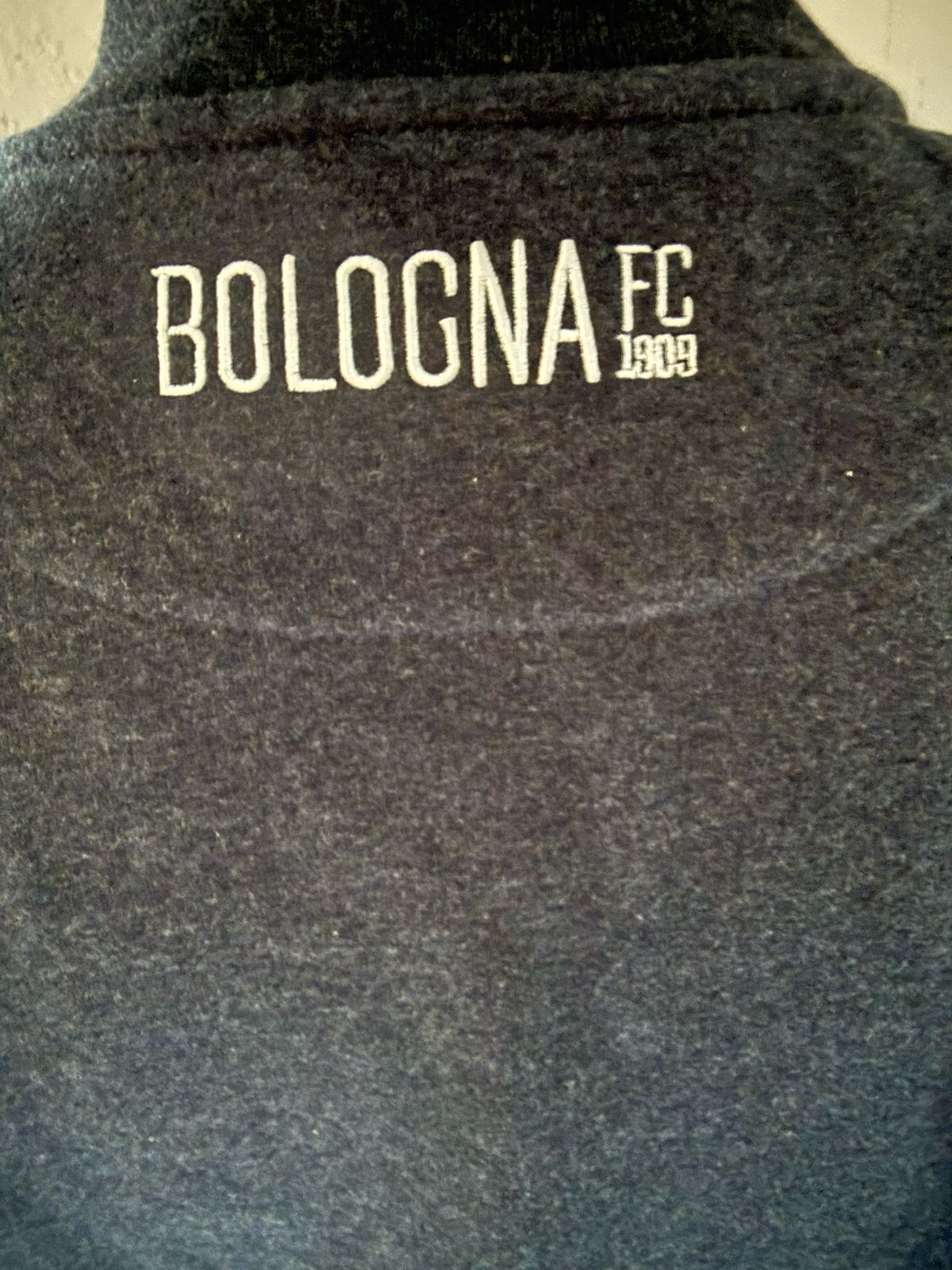 Bologna FC Travel Poly Fleece Jacket 2020-2021 (XL) (10/10)