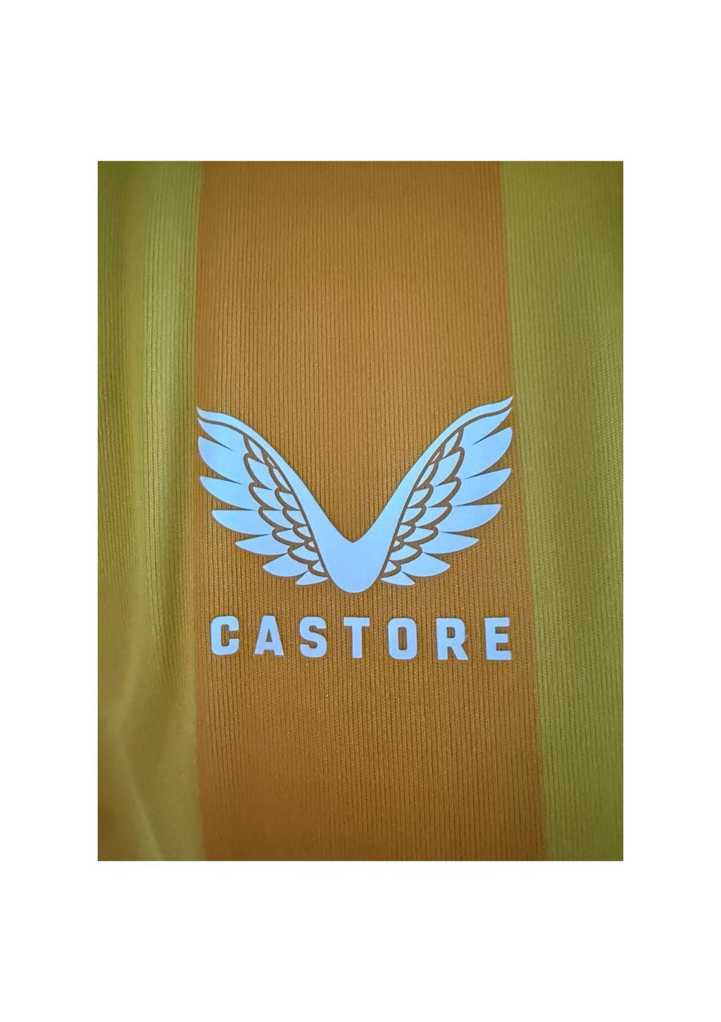 Mansfield Town Home Shirt 2024-2025 BNWT (L) (10/10)
