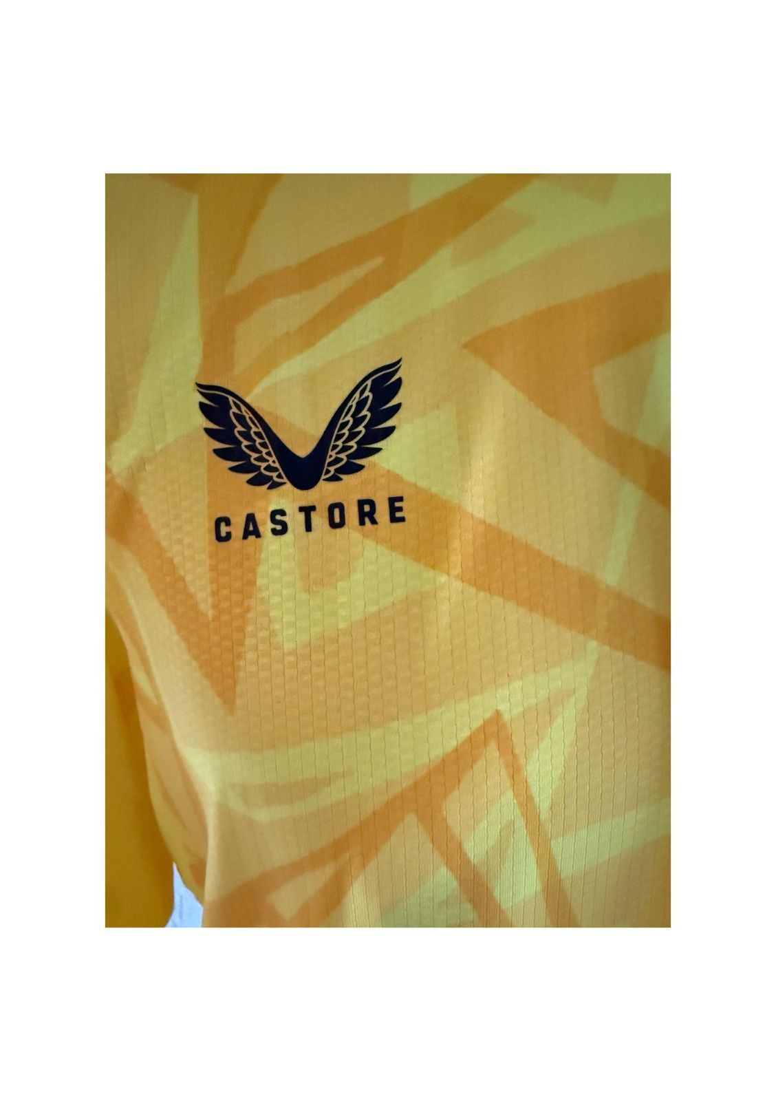 Wolverhampton Wanderers Keepershirt PRO 2023-2024 (L) (10/10)