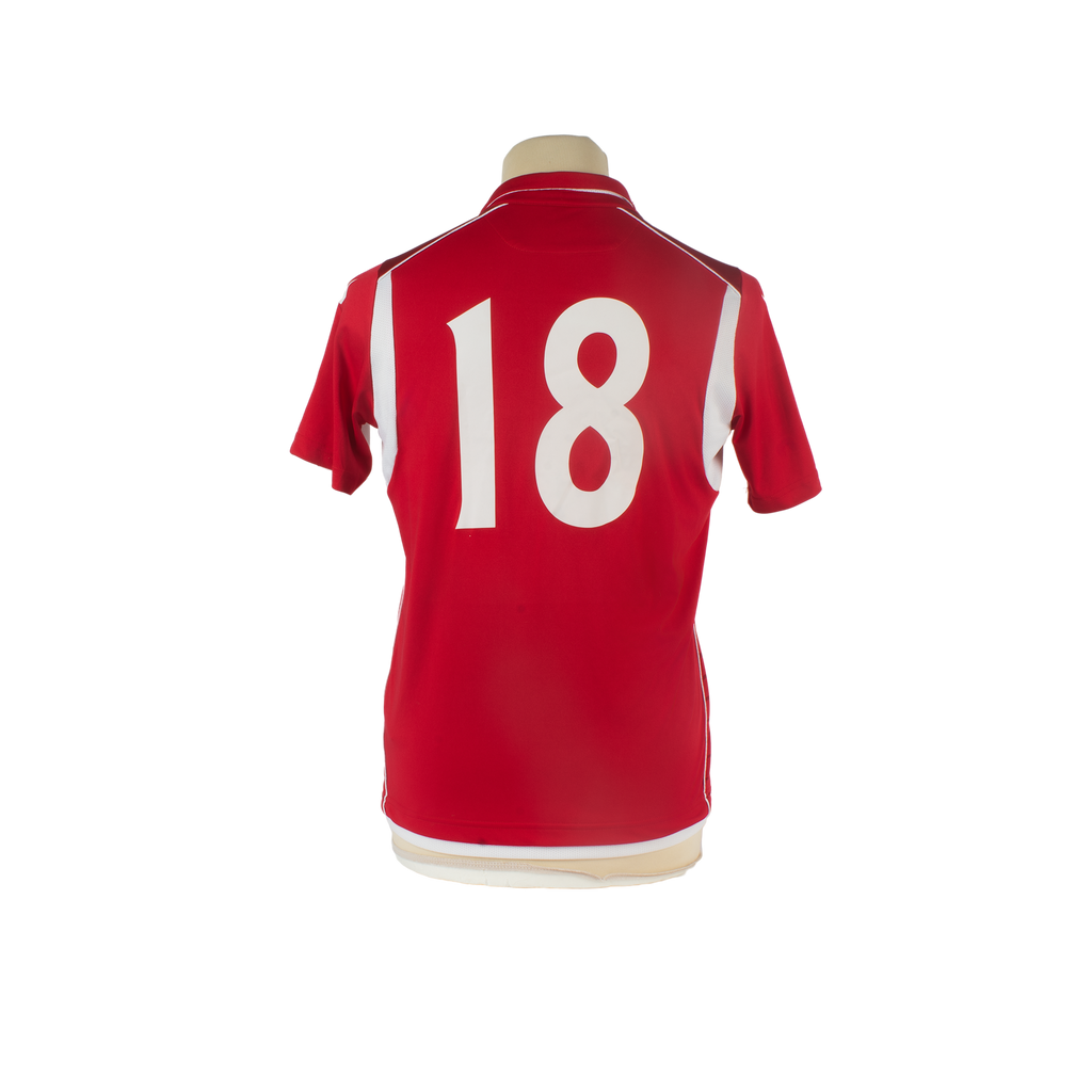 Ebbsfleet United Thuisshirt 2016-2017 (S) (8/10)
