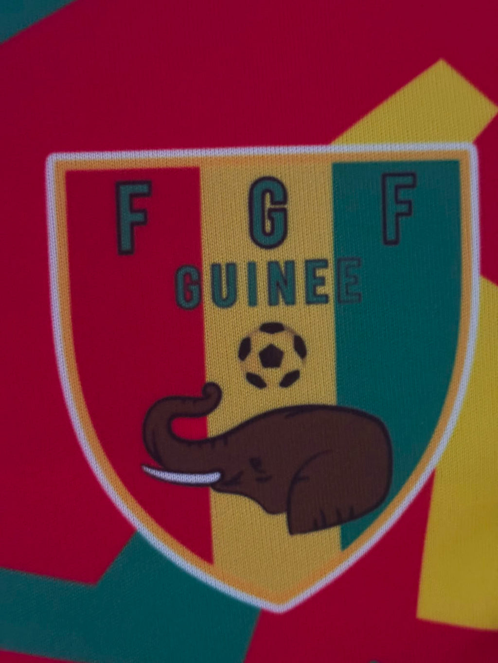 Guinee Trainingsshirt 2022 (S) (8/10)