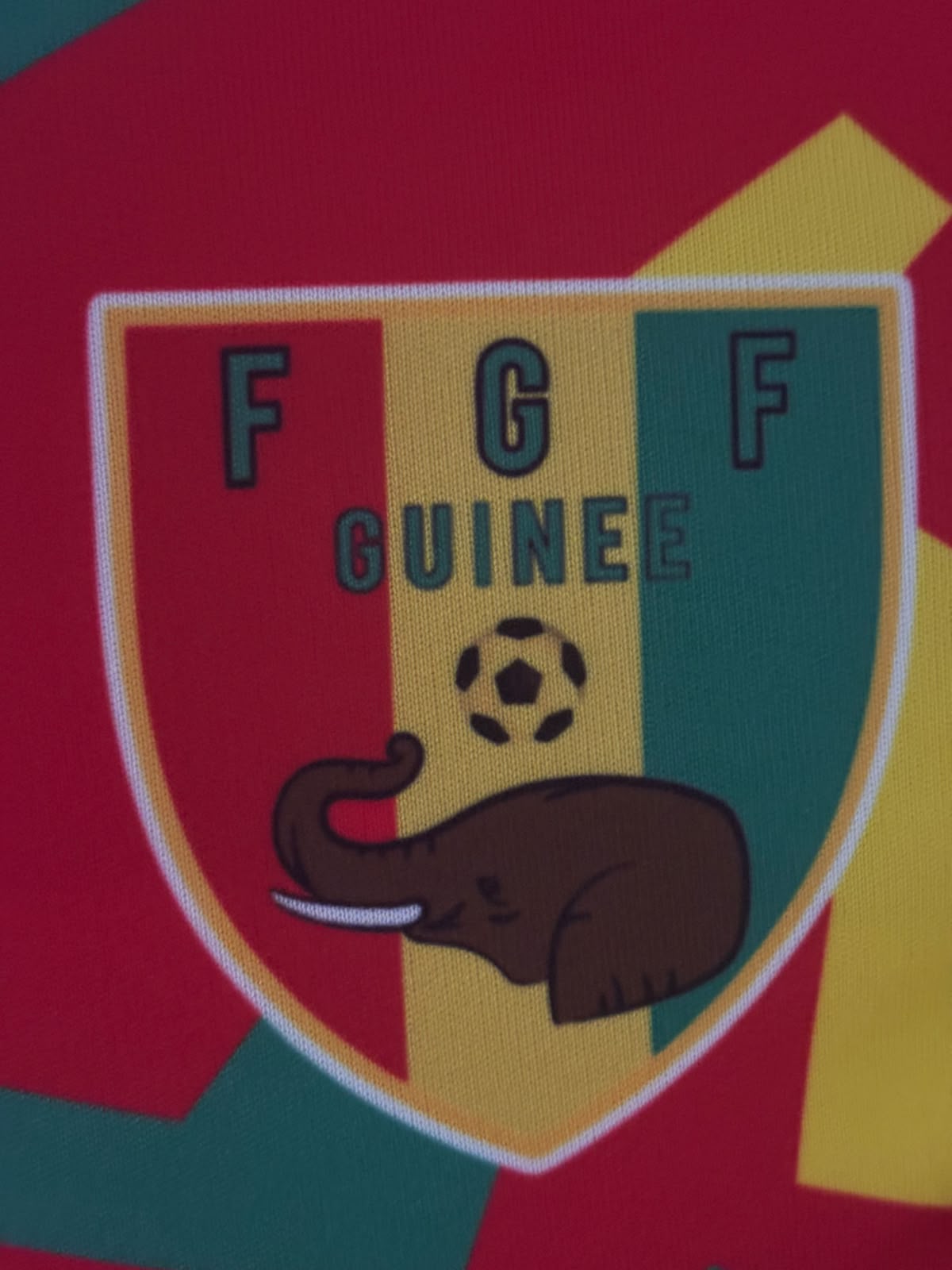 Guinee Trainingsshirt 2022 (S) (8/10)