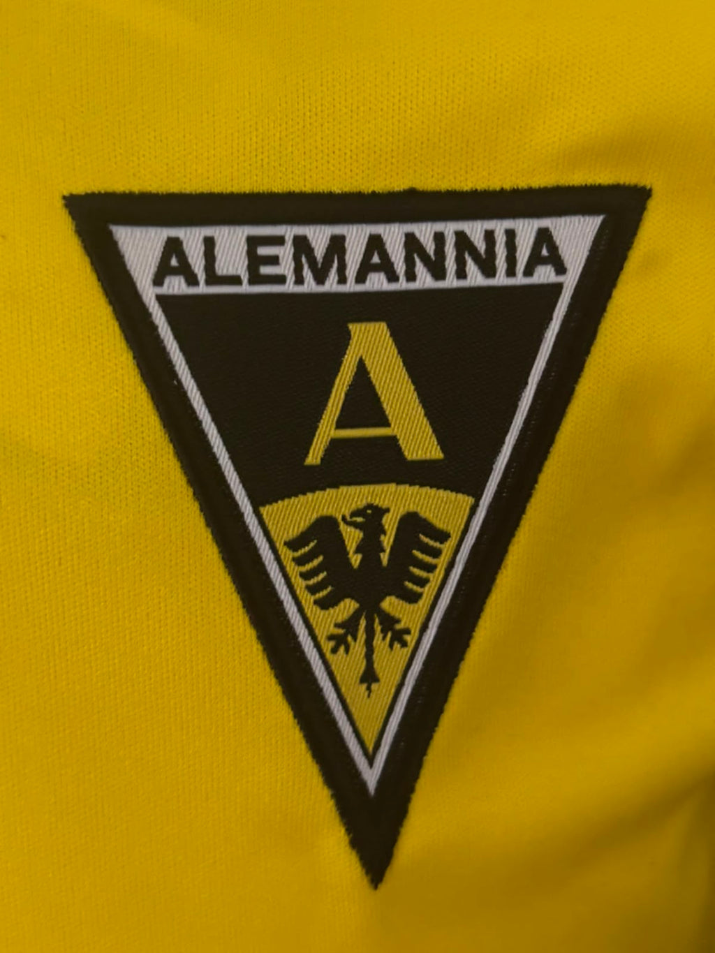 Alemannia Aachen Thuisshirt 2018-2019 BNWT (M) (10/10)