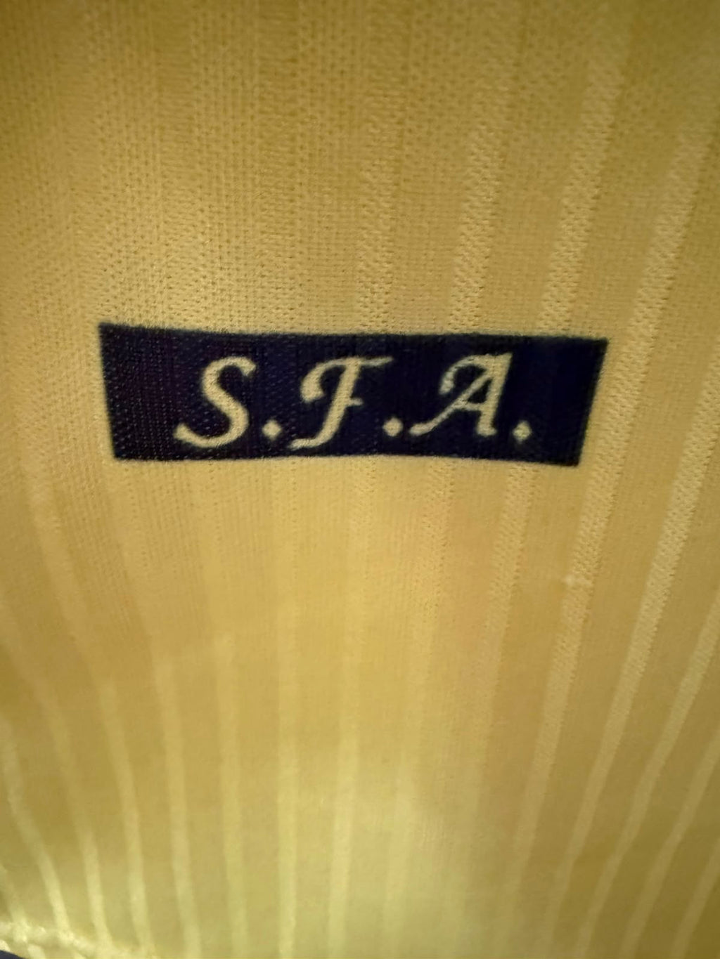 Schotland Uitshirt 1996 (L) (8/10)
