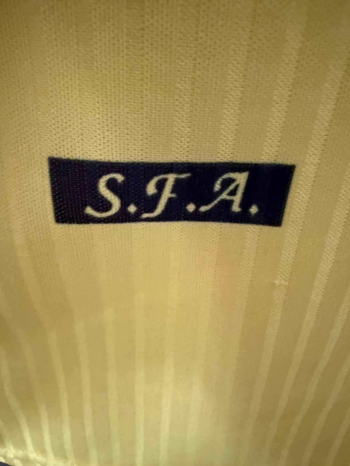 Schotland Uitshirt 1996 (L) (8/10)