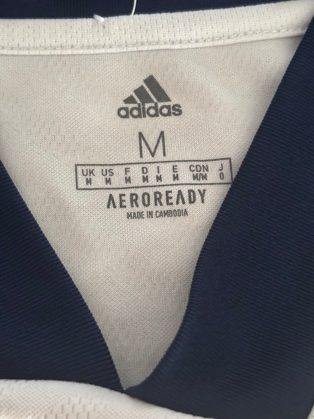 Noord-Ierland Uitshirt 2019 (M) (6/10)