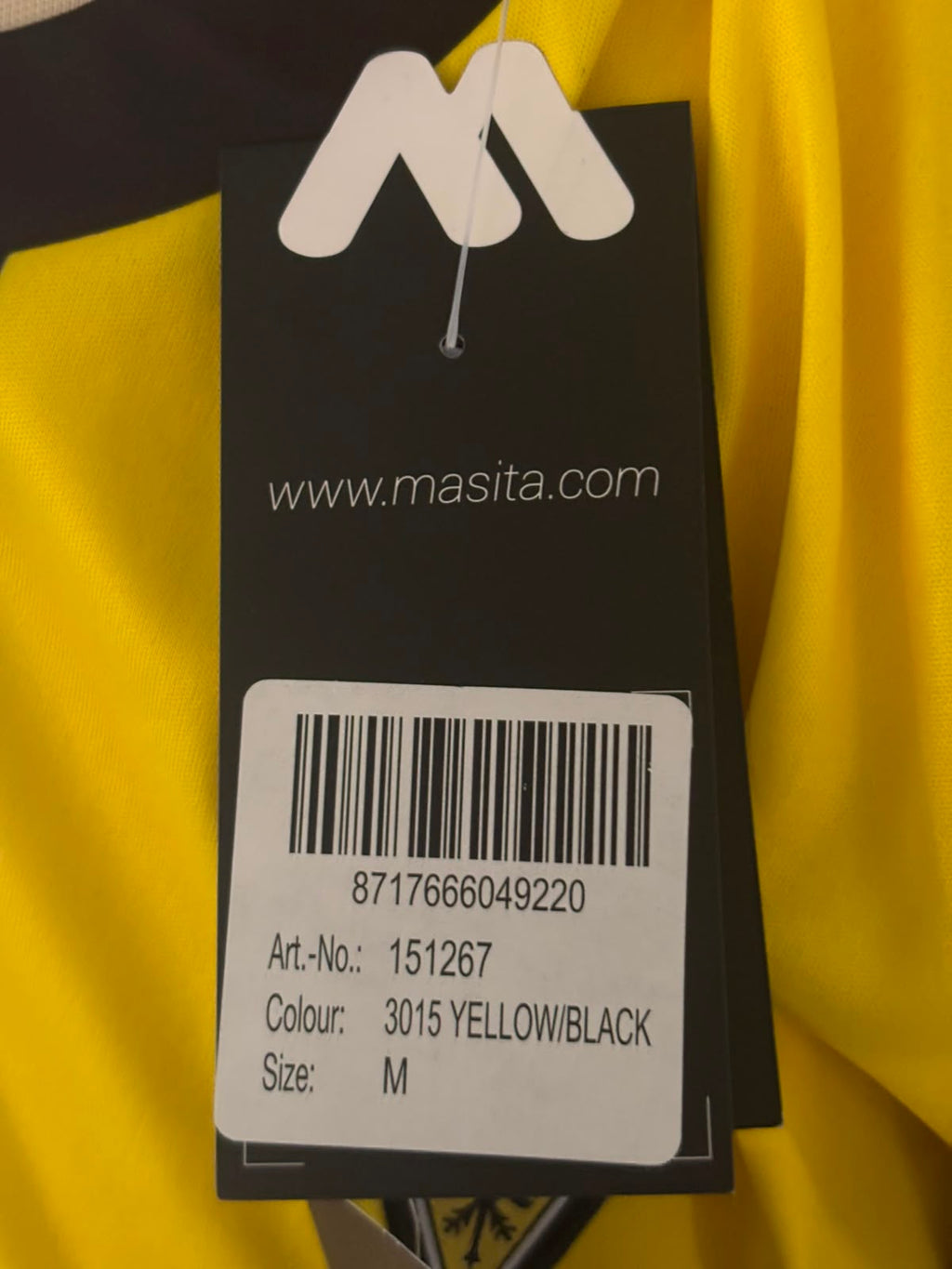 Alemannia Aachen Thuisshirt 2018-2019 BNWT (M) (10/10)