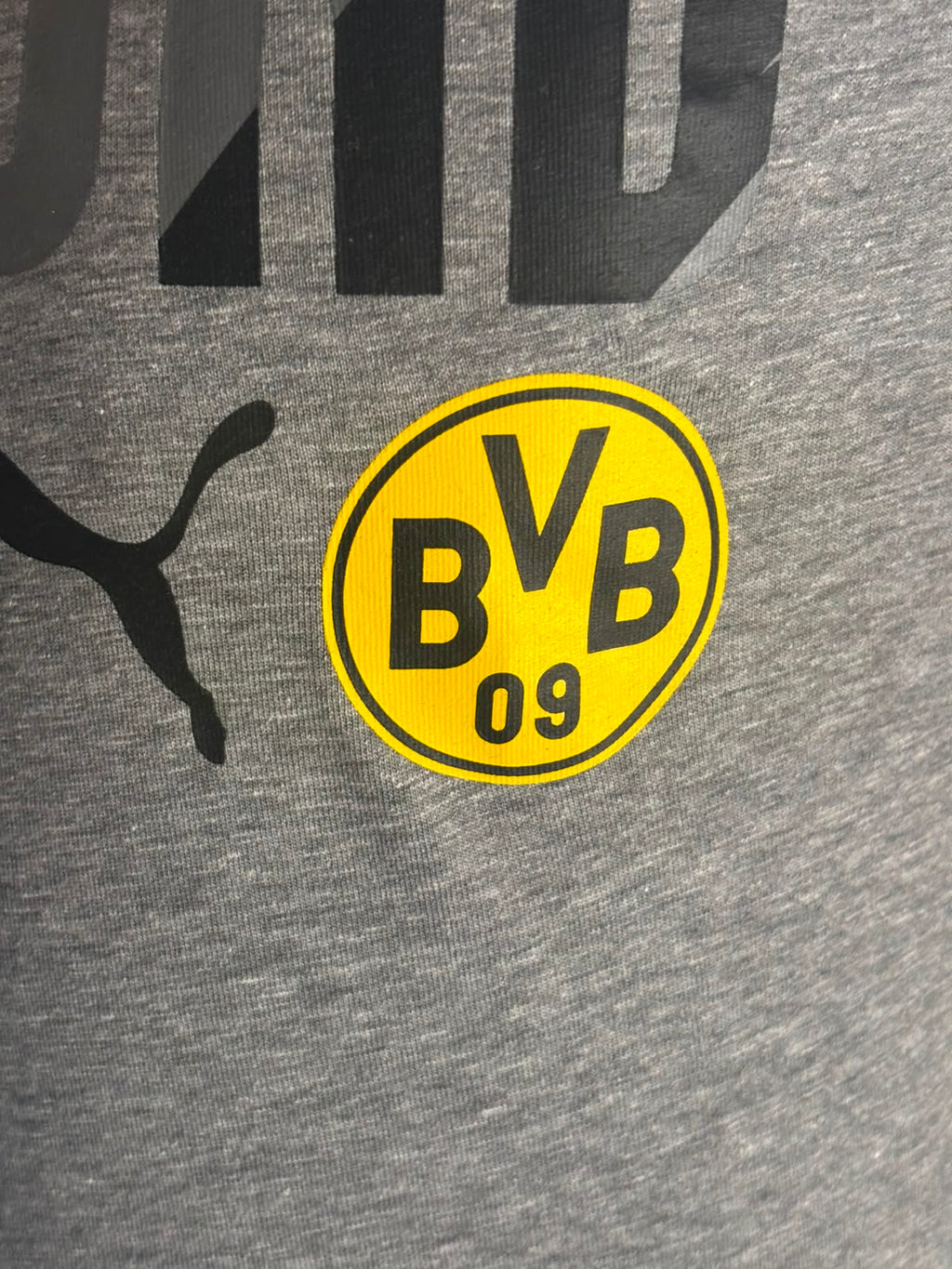 Borussia Dortmund Fan T-Shirt BNWT Kids (XS) (10/10)