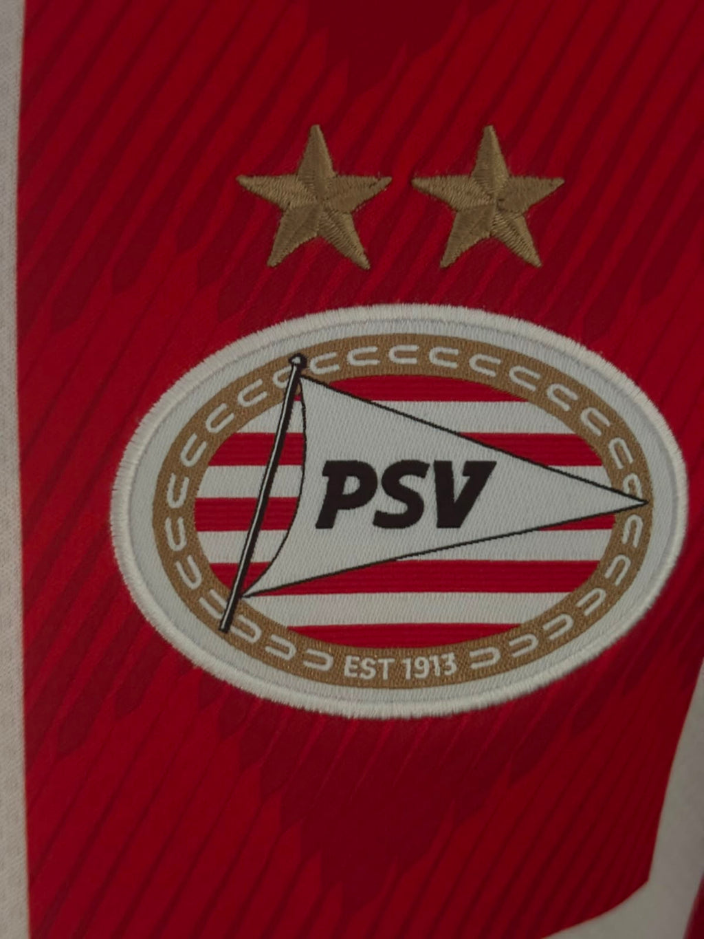 PSV Thuisshirt 2021-2022 (L) (8/10)
