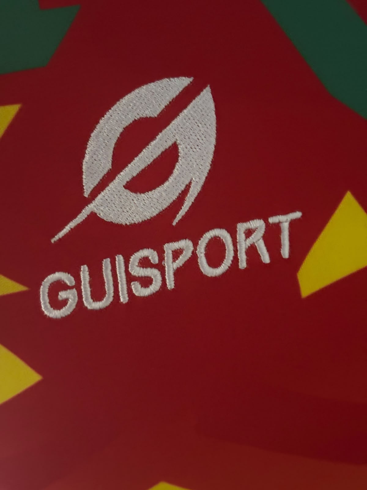 Guinee Trainingsshirt 2022 (S) (8/10)