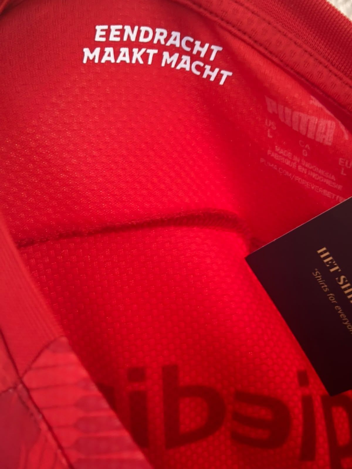 PSV Thuisshirt 2021-2022 (L) (8/10)