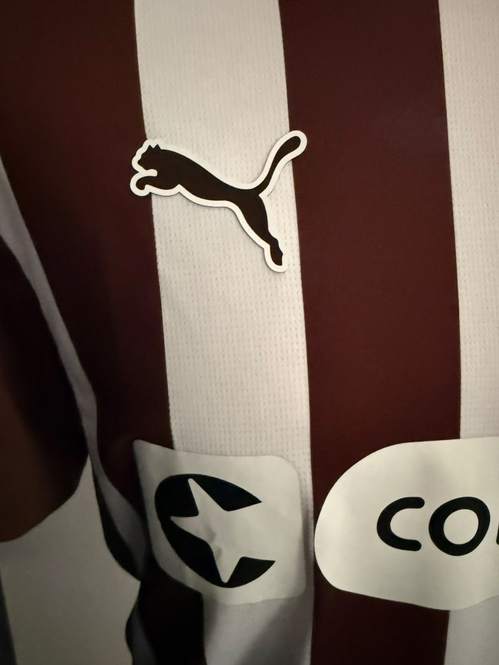 Sankt Pauli Thuisshirt 2025-2026 (M) (9/10) BNWT
