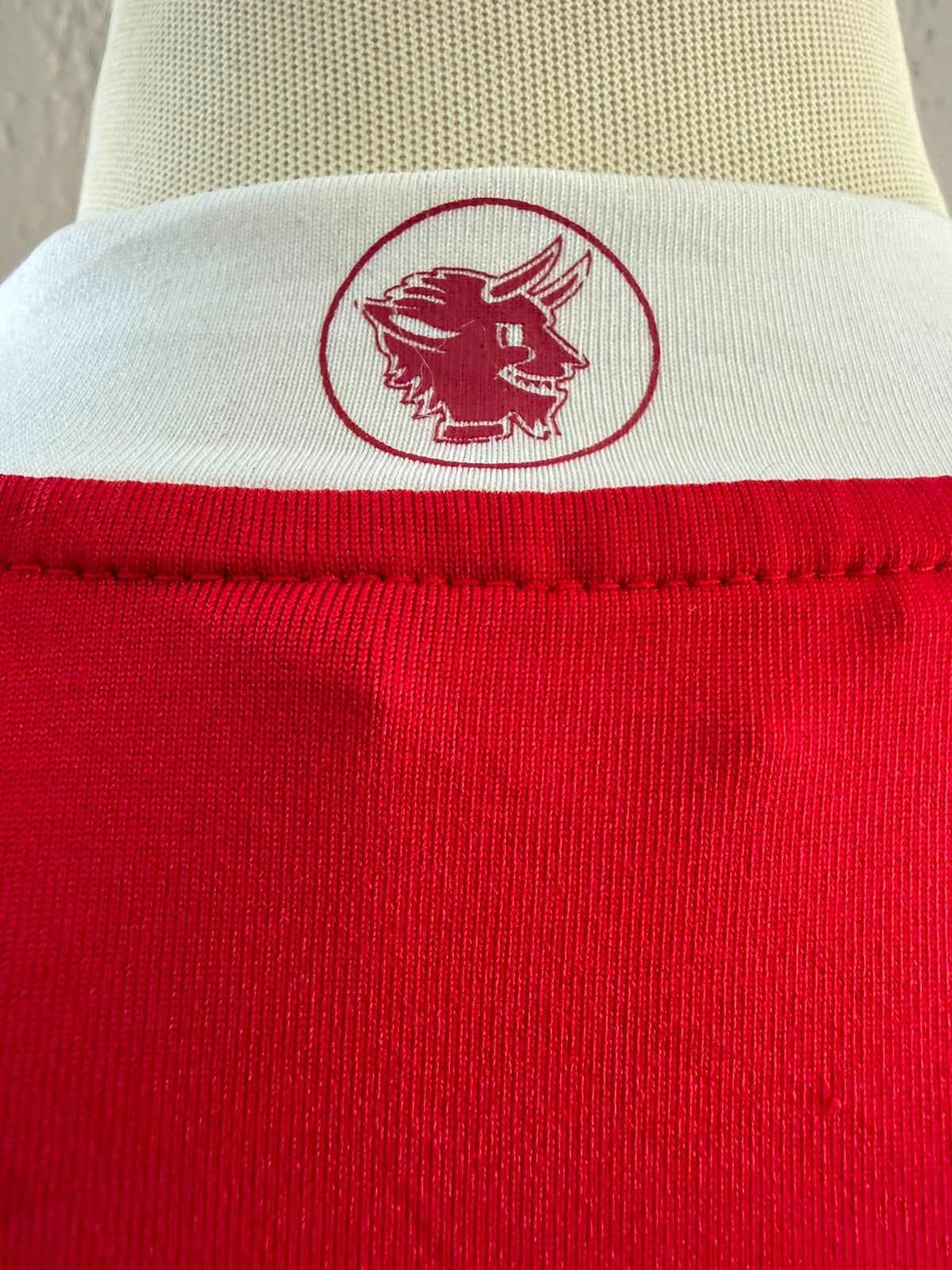 1. FC Kaiserslautern Thuisshirt 2008-2009 (L) (7/10)
